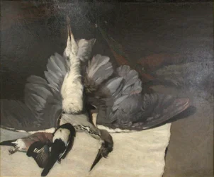 The Heron with Spread Wings